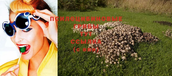 крисы Абинск