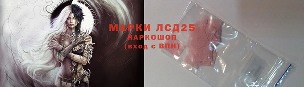 винт Алзамай