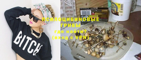 тгк Абаза