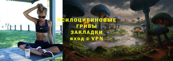 винт Алзамай