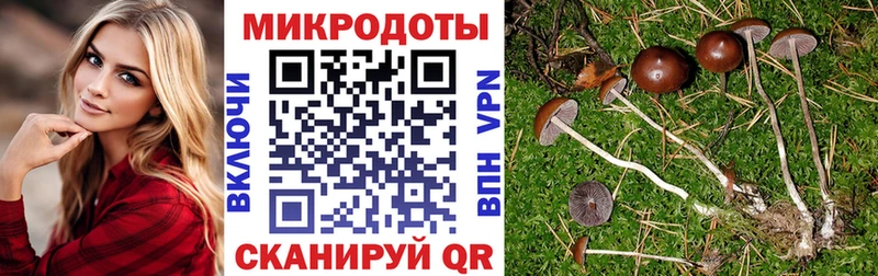 Псилоцибиновые грибы ЛСД  Карпинск 