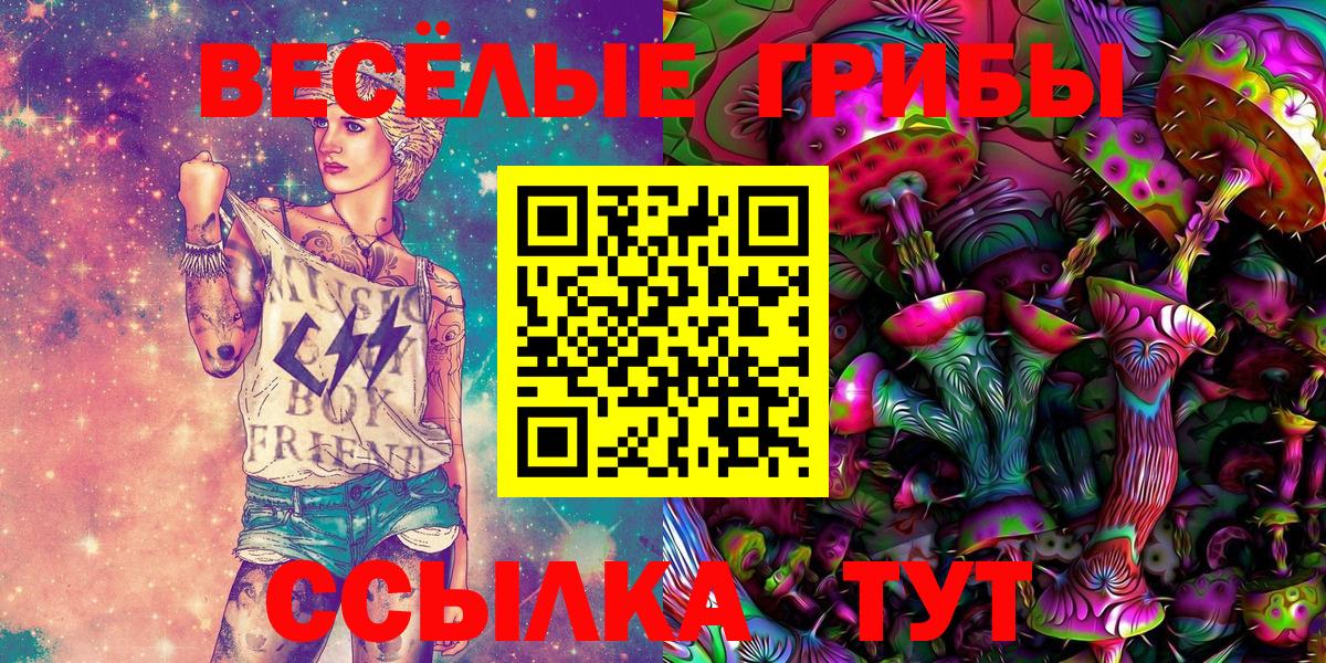 Галлюциногенные грибы Psilocybine cubensis Карпинск