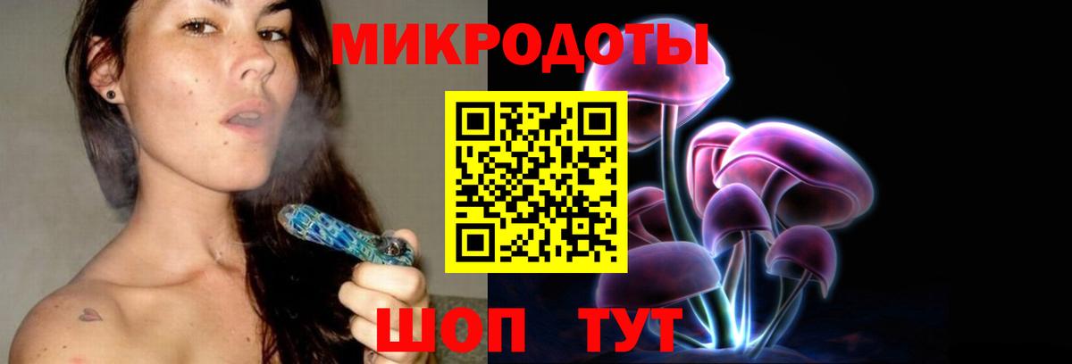 Галлюциногенные грибы Psilocybine cubensis  Вход с VPN  Карпинск  Псилоцибиновые грибы Psilocybe 